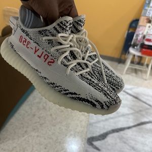 Yeezy boost 350 zebras 10.5